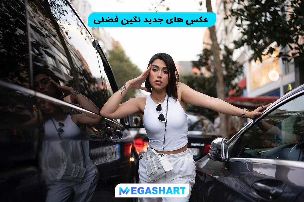 عکس های جدید نگین فضلی