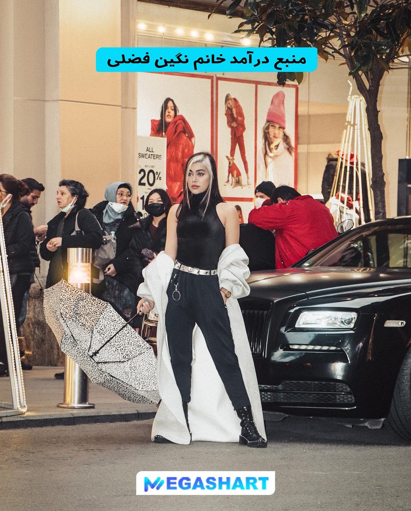 منبع درآمد خانم نگین فضلی