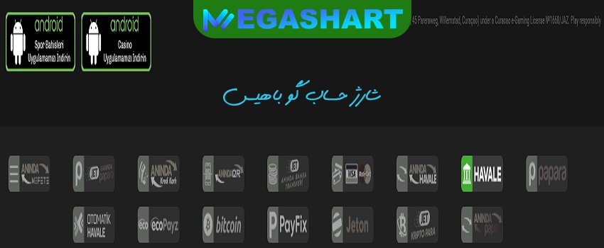 شارژ حساب گو باهیس