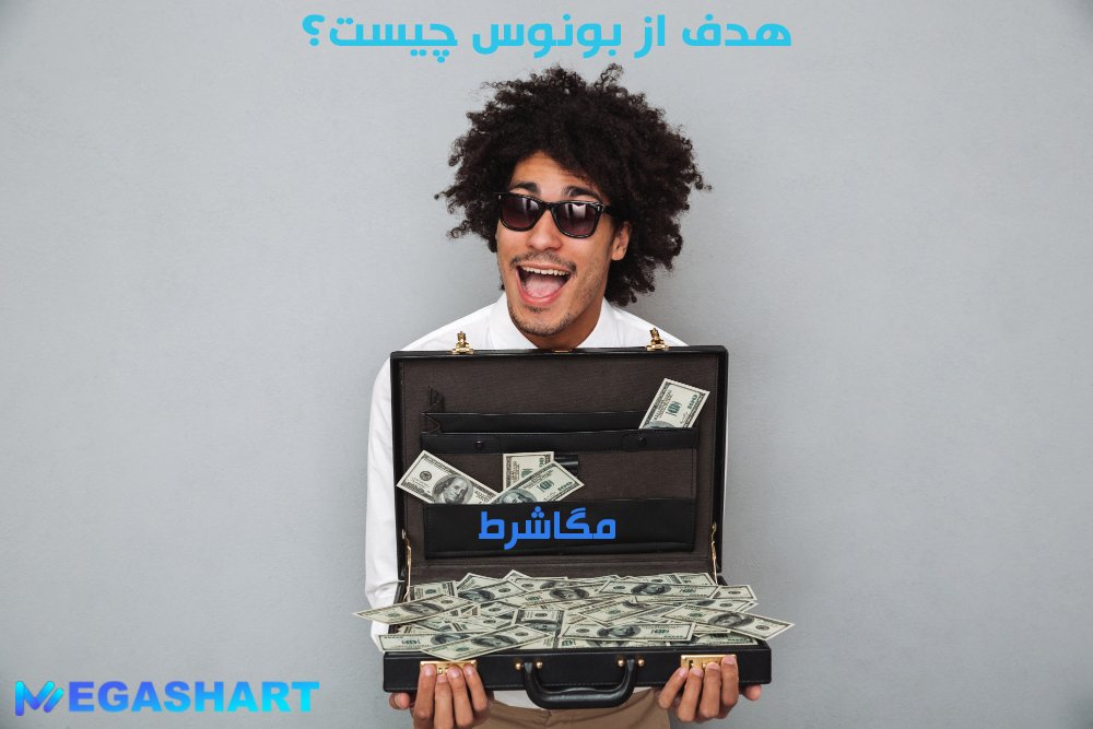 هدف از بونوس چیست؟