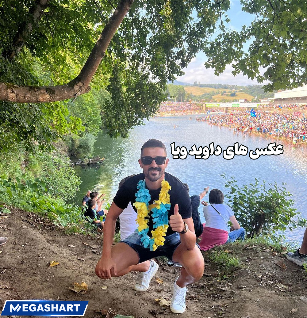 عکس های داوید ویا 