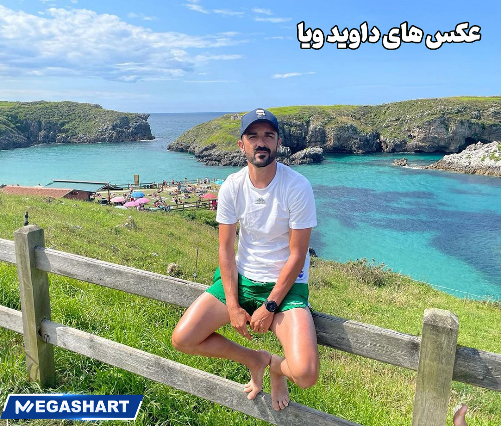 عکس های داوید ویا 
