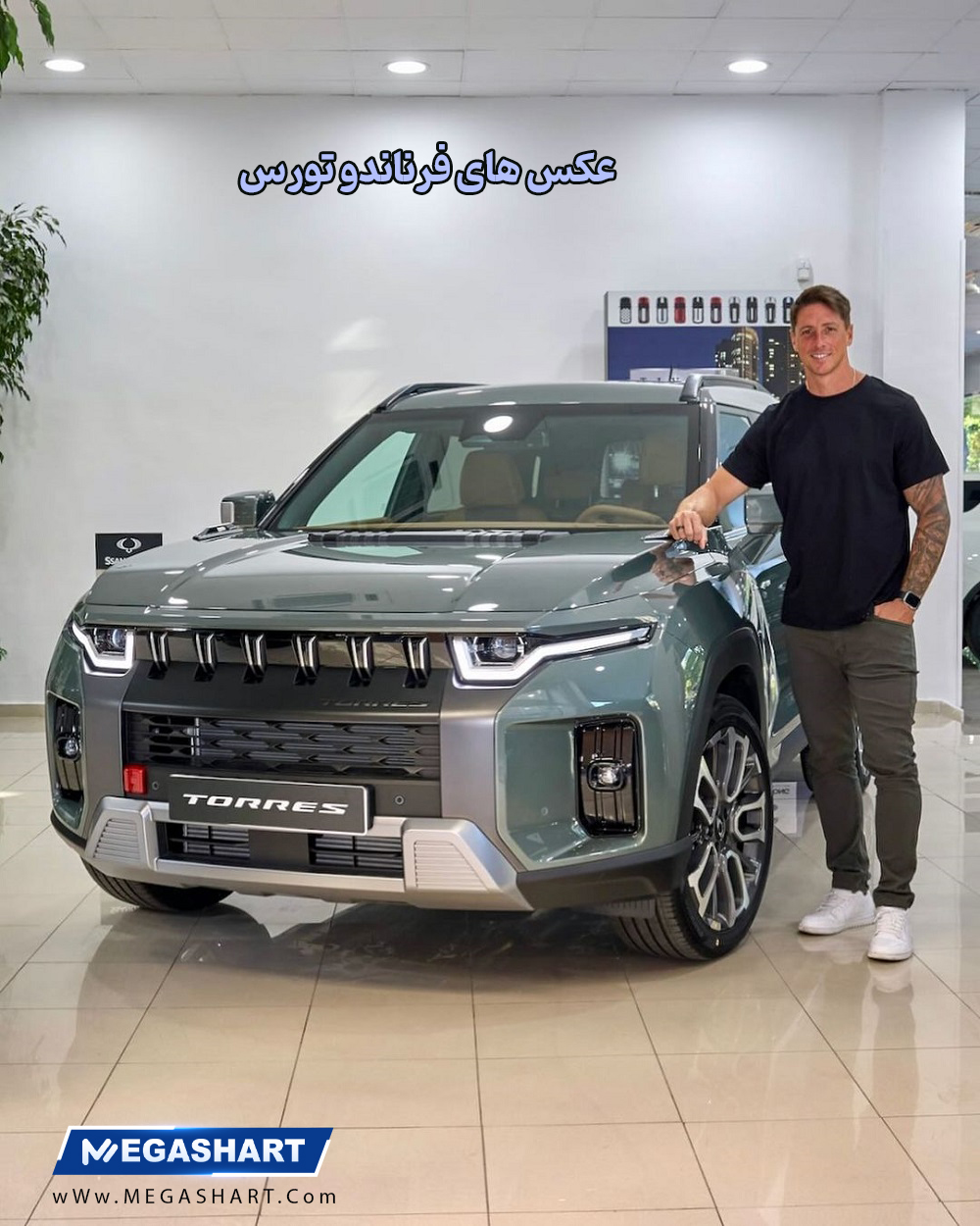 عکس های فرناندو تورس 