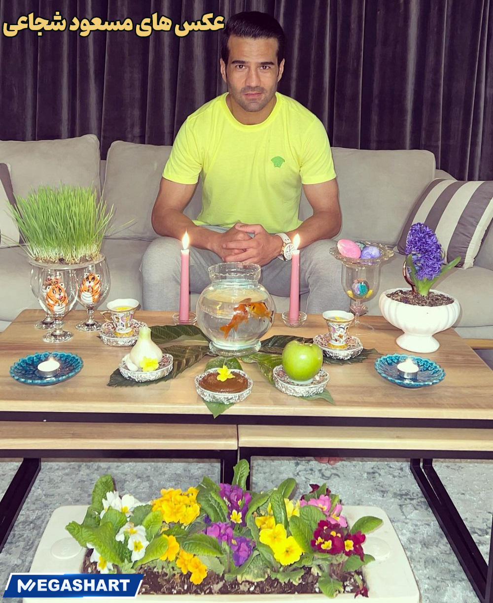 عکس های مسعود شجاعی 