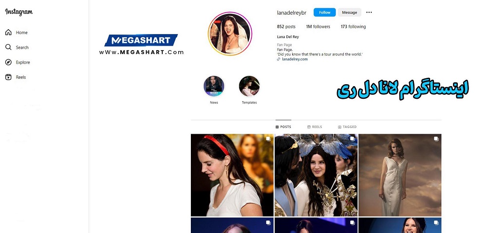اینستاگرام لانا دل ری 