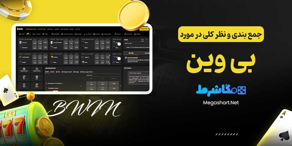 جمع بندی و نظر کلی در مورد بی وین