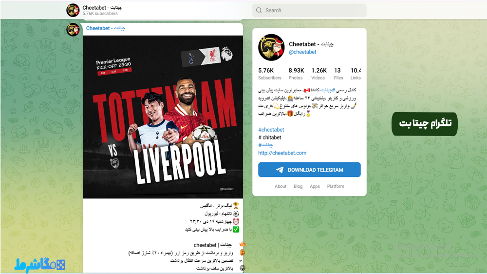 تلگرام چیتا بت