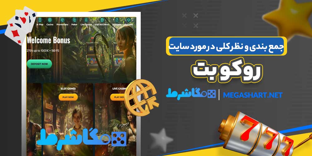 جمع بندی و نظر کلی در مورد سایت روکو بت