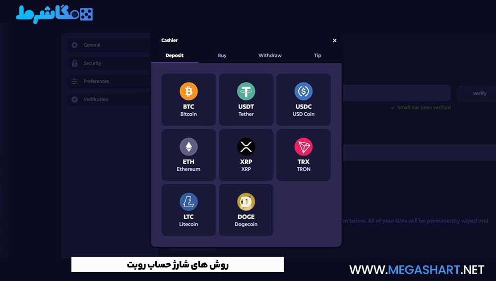 روش های شارژ حساب روبت