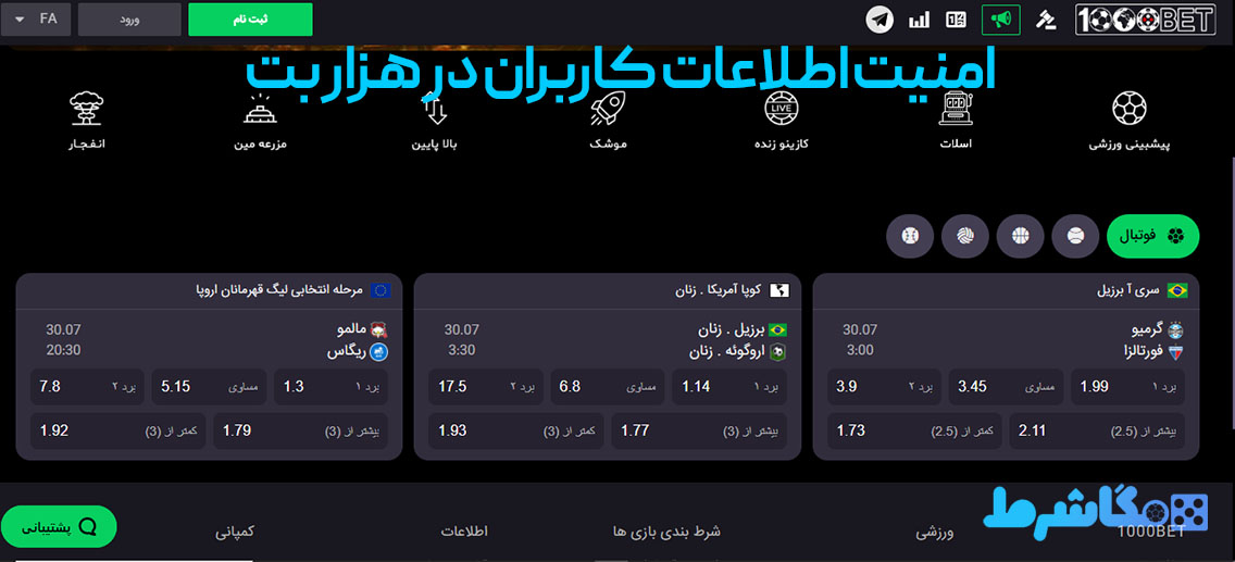 امنیت اطلاعات کاربران در هزار بت