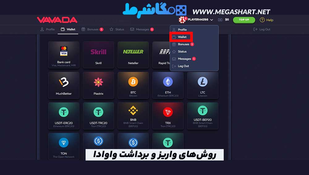 روش‌های واریز و برداشت واوادا