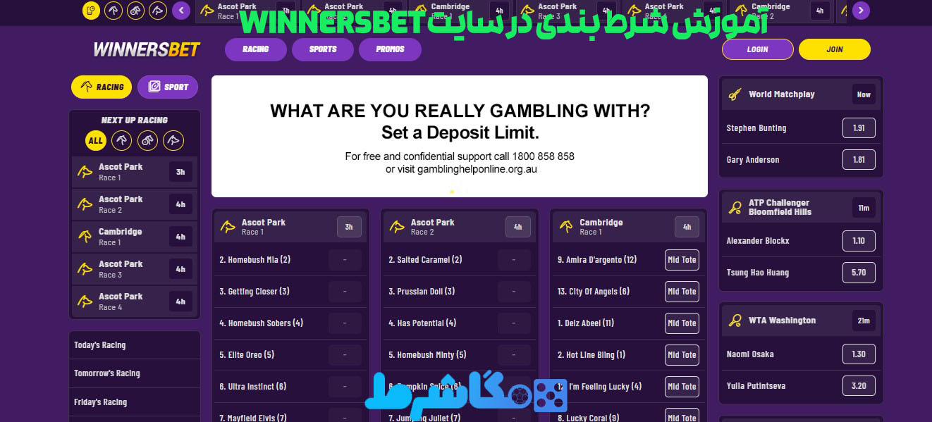 آموزش شرط بندی در سایت WinnersBet