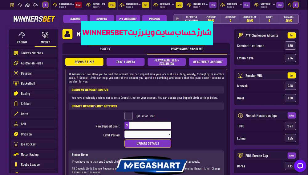 شارژ حساب سایت وینرز بت WinnersBet 