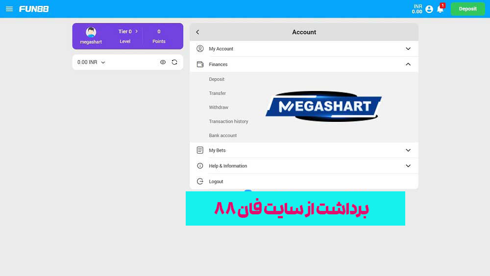 برداشت از سایت فان 88