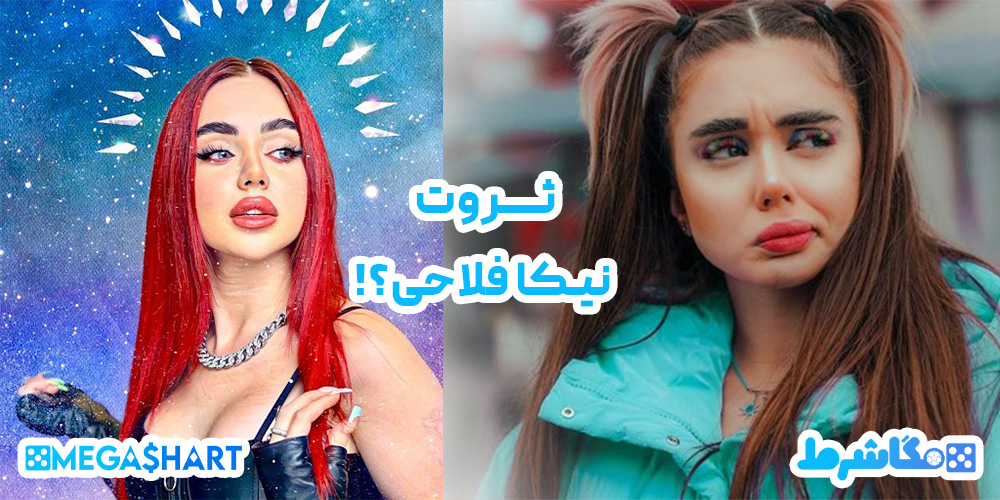 ثروت و درآمد-نیکا-فلاحی