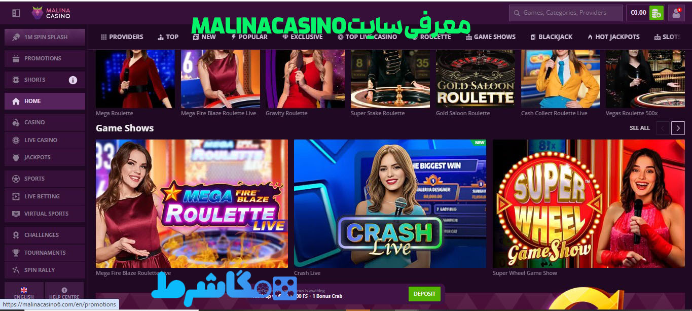 معرفی سایت MalinaCasino